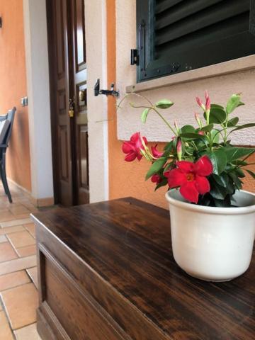 Il Giardino Delle Rose Daire Spello Dış mekan fotoğraf