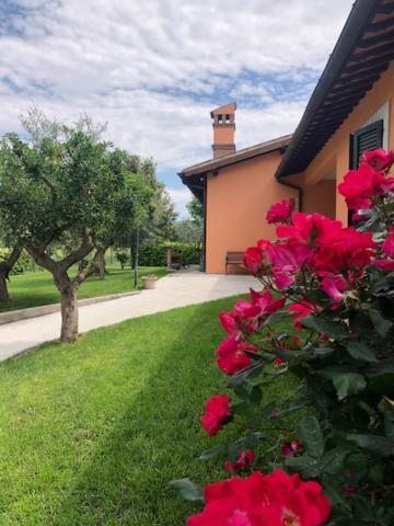 Il Giardino Delle Rose Daire Spello Dış mekan fotoğraf